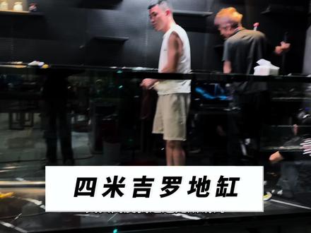 四米吉罗缸装缸中 #吉罗缸 #吉罗缸定制 #宏基渔业