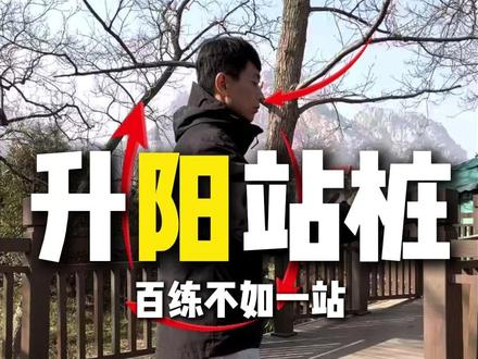 升阳站桩,百练不如一站 #升阳 #站桩 #养生 #牙仙人 #呼吸