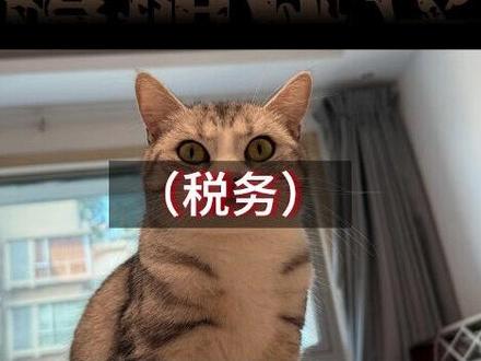 增值税法实施后的21点变化