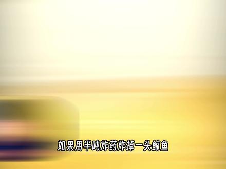 【鲸爆】美国用半吨炸药炸鲸鱼,结果后悔50年…… #奇闻异事 #搞笑 #科普 #鲸爆 #抖音精选