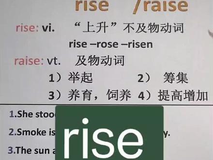 rise和raise区别
