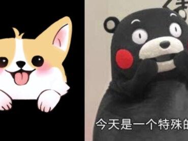 英语中那些意想不到的单词,看看这些你是不是都会?#英语 #英语单词 #专升本