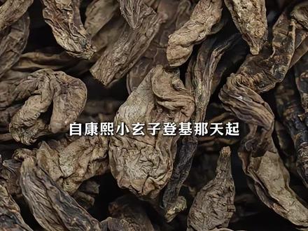 每天认识一种香料—玄参 又名元参、黑参,是玄参科多年生草本植物玄参的干燥根。它性味甘、苦、咸,寒,归肺、胃、肾经。别看它外表不起眼,内里却蕴藏着丰富的药用价值哦!
玄参的炮制之法,《香乘》中明写的有11处,可分为过水火攻,火攻、浸泡,但是如今我们常用的是酒制,可归为浸泡类。另外还有一种少见的运用,是用玄参来炼蜜,然后用到合香中。每种炮制方法出来的味道和功效都不同,需要根据实际香方的需求选择合适的炮制方法。
跟玄参有关的有一著名香方,即宋代《陈氏香谱》记录的丁谓所创的“丁晋公清真香””
,此香方
被编成
具有韵律的歌诀,便于记诵传播:
四两玄参二两松,麝香半分蜜和同,丸如芡子金炉热,还似干花喷晓风。
#香文化 #香料 #制香 #手工diy #手工香