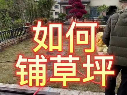 如何自己动手铺草坪#爱生活爱养花 #田园生活 #小院改造