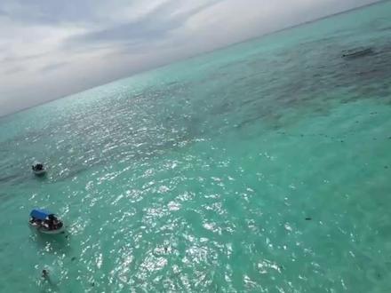 中国援坦桑尼亚医生张军桥 为救当地落水者牺牲 #中国援坦医疗队队长不幸牺牲 #张军桥 #坦桑尼亚 #摆摊医生 #山东好人