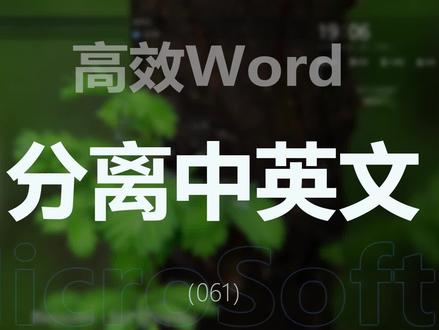 两分钟学会在wor在中快速分离中英文,再也不花时间去选选选了 #知识创作人 #word #word办公技巧