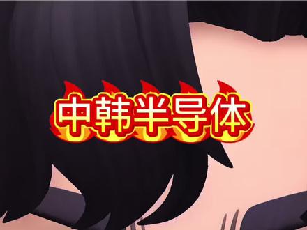 中韩半导体#韩国股市#熔断#股市#半导体#ai