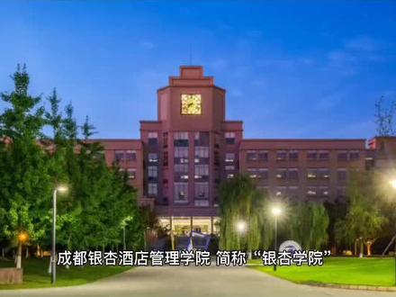 成都银杏酒店管理学院#大学 #本科 #单招 #成都银杏酒店管理学院