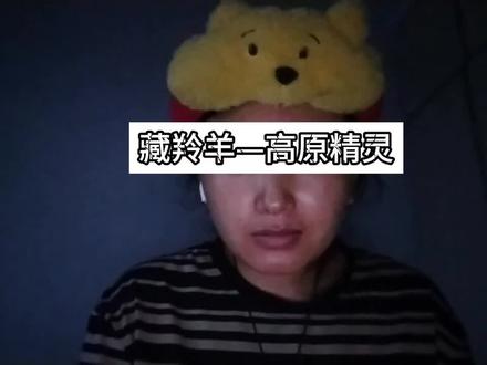 藏羚羊—高原精灵#藏羚羊 #生命树 #野生动物 @抖音小助手 @DOU+小助手