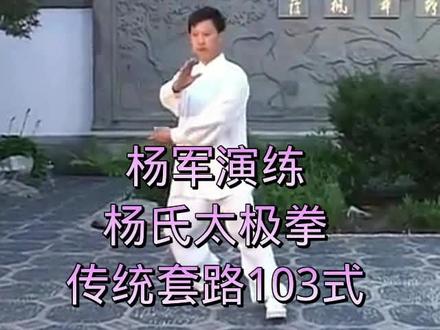 杨氏太极拳103式示范