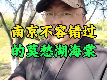 南京莫愁湖的海棠花#南京#南京市#南京海棠花 #南京赏花 #南京同城