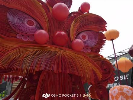 我不允许还有人不知道大疆的新年水印!action和nano也通用哦~#大疆pocket3 #大疆action #大疆nano #大疆360 #新年水印