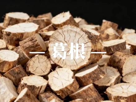 听故事学中药,今天讲葛根的故事#葛根#中草药知识