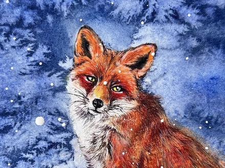 冬天的狐狸怎么画?一学就会的绘画教程来啦! #跟着抖音学画画 #画画 #一学就会系列 #原创视频 #手绘 跟着抖音学画画,冬天怎么画?狐狸怎么画?一学就会的水彩动物绘画教程!画狐狸就这么简单!画雪景更简单!
“千年黑锅”,真正把‘狡猾’二字刻在狐狸DNA里的,是几千年来的人类文化。
《伊索寓言》里的那只骗乌鸦嘴里肉的狐狸,可以说是狐狸狡猾形象的全球推广大使。
在我们中国的传统文化里,早期的《山海经》里,九尾狐是祥瑞的象征。但到了唐宋以后的志怪小说和话本里,比如《封神演义》里的妲己,就被设定为九尾狐妖,善于幻化、精通人心、蛊惑商纣王
人们把自己对未知力量的恐惧,和对聪明反被聪明误的警醒,都投射到了狐狸身上。
狐狸的‘狡猾’标签,是它真实的生存策略 + 它看起来‘机灵’的长相 + 几千年人类文学艺术的共同塑造,才形成的强大刻板印象。
而今天,我们画这幅雪地小狐狸,就是想用画笔为它‘正名’一下。 当我们把它从那些寓言和传说里剥离出来,静静地观察它本身时,你会发现,它只是一个在寒冬里努力寻找温暖和食物的小生命。它会冷,会害怕,也会在雪停的间隙,蹲坐下来,露出一瞬间的茫然与天真。
它的‘聪慧’是为了生存,而它的‘憨憨’,或许才是它卸下防备后,最真实的模样。”