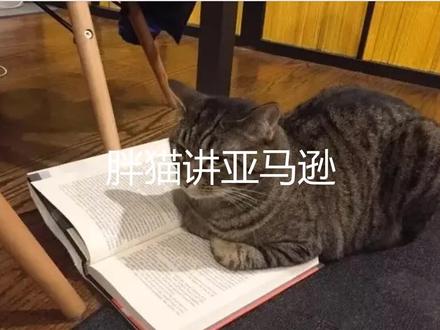 出现8572报错UPC不匹配的GS1证书与从属关系证明