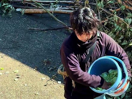 两位小哥哥一起出现,一位抱着阿贝贝,一位挂着咱宝子。他没跑没叫,但就是不从背上下去,小哥哥宠溺的等着他,最后带回房间开小灶去啦。
#panchi#punch#饲养员#潘奇 #最新消息