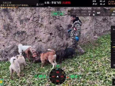 打二连看的心脏受不了,生猛的刘大爱#西北刀客 #上热搜#公益护农