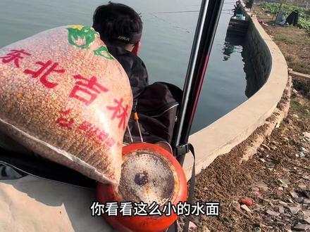 第五期|落网之鱼虽然小但是不空军#钓鱼