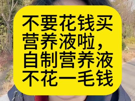 不用花一毛钱,在家自制营养液
影响不影响?#花卉绿植#阳台养花#家庭养花#养花#花卉
