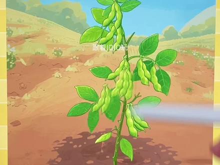 制作霉豆腐✌️#幸福小日子 #抖音小游戏