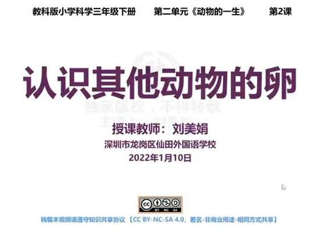 新教科科学3下-认识其他动物的卵