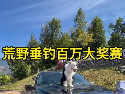 天塌了!莽莽克拉斯被反超了#钓鱼 #刷锅传媒#擒龙诀荒野挨饿王大鱼挑战赛