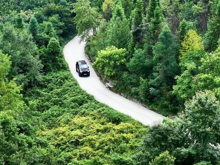 🌿三刷重庆避暑胜地 📍 导航:枫香崖森林Park
🌅清晨5:30的浪漫——
无人机直拍云海翻滚☁️,帐篷屋顶仿佛浮在仙境!
朋友们,睁眼就是云海在枕头边飘…这哪是露营啊?
根本是修仙剧本吧!(叼牙刷自拍🤳)
🍳在这样的环境吃早餐——
“风吹散煎蛋的香气,连咖啡都不用加糖…”
(举杯特写)三百度观景台诚不欺我🎬
冰美式被山风一吹,甜过初恋!💘
🌲午后躺平文学——
“嘘——此刻我是被森林哄睡的小孩。”
独门独院+独立卫浴🚿,帐篷外支张小桌喝茶…
夏天嘛,就该这样慵懒地溜走呀~
🌇傍晚的重头戏!
白天当山大王👑,晚上秒变米其林夜场——
(镜头突然切悬崖烤肉架🔥)
“五花肉在日落前滋滋作响…
这哪是烤肉?是退休的味道啊!”💃
#重庆露营地推荐 #重庆避暑 #周末去哪 #重庆露营 #帐篷酒店