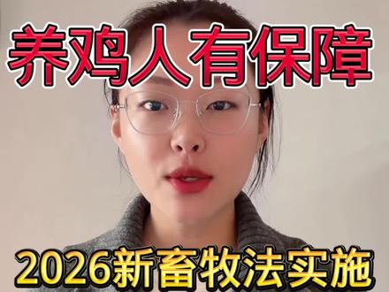 2026年最新畜牧法已实施,养鸡人转发#江西养鸡#安徽养鸡#陕西养鸡#甘肃养鸡#宁夏养鸡