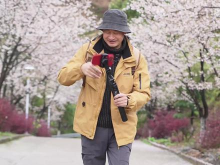 有了它拍照拍视频再也不求人 #拍摄技巧 #自拍杆 #稳定器 #智能跟拍云台 #手机支架