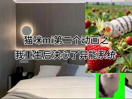 #猫meme#猫meme小剧场#爽文#头像#壁纸