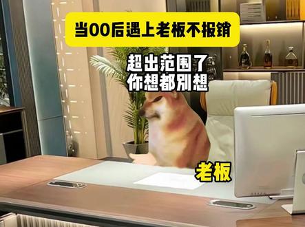 当00后遇上老板不给报销时 #猫meme #内容过于真实 #00后 #牛马