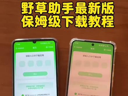 《向前看齐》野草助手app最新版安卓苹果下载教程来了#野草助手 #野草助手口令 #野草助手怎么下载 #野草助手下载#电视投屏