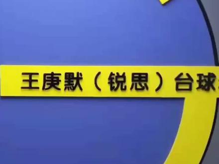 锐思台球用品#台球器材