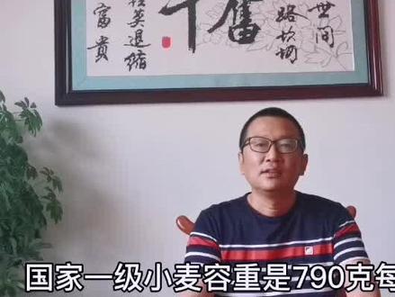 国家小麦分级标准容重是多少?@抖音小助手 #优质小麦 #小麦 #农村 #农民 #种植