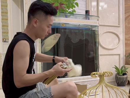 又是开开心心拆快递的一天。
