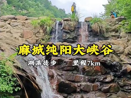 ❗❗❗麻城纯阳大峡谷溯溪徒步攻略
☑️纯阳大峡谷地处麻城市福田河镇,谷长8.1公里,谷底最宽处150米,最窄处仅4.8米。贯穿峡谷的纯阳溪源自海拔987米的纯阳山主峰单尖,系举水河源头主要支流,谷中流水汇于大堰口水库。峡谷内水光山色,奇石异木,鬼斧神工,清新秀美,属鄂东少有的原始生态景区。峡谷有深潭多处,最深的有上、中、下龙潭三处,潭间间距100—1200米,落差15—50米,常年不枯。
✨【徒步路线推荐】麻城纯阳大峡谷,全程约8km左右,最高海拔474m,累计爬升341m,耗时约5~6h。
✨【徒步起/终点】麻城纯阳大峡谷游客接待中心(🉑往前开停到水库边停车场)。
✨【路线提供】两步路户外助手。
✨【徒步指南】
1️⃣顺时针走,前半段为峡谷溪流路段,后半段为丛林山路。
2️⃣溪流基本都在密林里,玩水晒不到。
3️⃣山里有蚂蟥,不知道是水里的还是山蚂蝗,行程结束检查身上(尤其脚踝以及手臂裸露处)是否有蚂蟥。
4⃣️峡谷溪流路线有被开发过,有步道有栏杆,有几处深潭浅滩瀑布,可玩性很高。
5⃣️该路线推荐丰水期来玩,也就是大雨后,枯水期也能玩,潭水不枯,只是瀑布溪流水量较小。
6⃣️天气凉快些该路线适合踩水徒步(可不下水),天气炎热推荐走折返(全程只走峡谷溪流,全程玩水),走环线的话山路很磨人(山路很长很热也很累)。
#户外 #户外徒步 #爬山 #溯溪 #武汉户外