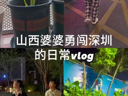 勇闯深圳的第25天 不知不觉在深圳呆了快一个月了,没想到遇到最大的困难是深圳的气温,才五月就三十五度了#深圳 #婆媳 #南北差异 #大城市 #城市里的烟火气