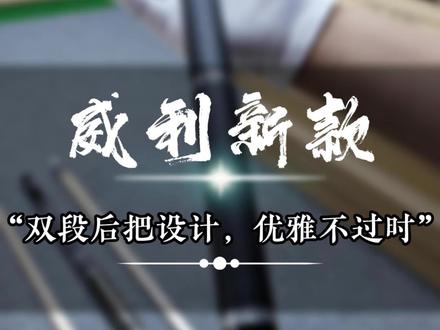 新款上线,分段式后把,优雅不过时#台球 #台球器材 #台球是一种生活
