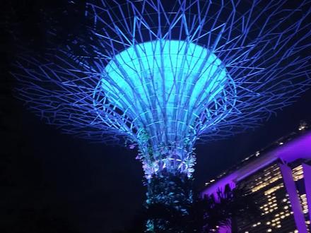 新加坡自由行新手宝子速码✅ 超全入境+交通保姆级攻略! 电子入境卡填写/樟宜机场通关/地铁换乘/去马六甲交通全讲清,一步不落~
收藏起来出发前翻,再也不用手忙脚乱找攻略啦💪
#新加坡旅游 #新加坡入境 #新加坡交通 #旅游攻略 #旅行