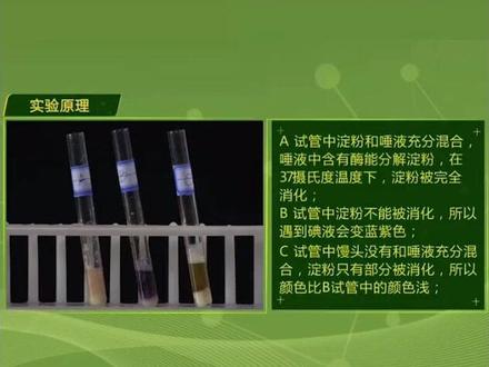 食物在口腔中变化的实验过程,利于淀粉遇碘变蓝原理检测,食物是否被唾液淀粉酶分解成麦芽糖。#生物实验