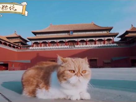 午门明三暗五的讲究#故宫 #上新了故宫 #午门 #聂远 #何穗 @DOU+小助手