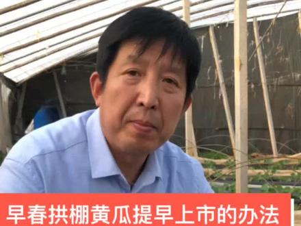 早春黄瓜提早上市的办法来了~