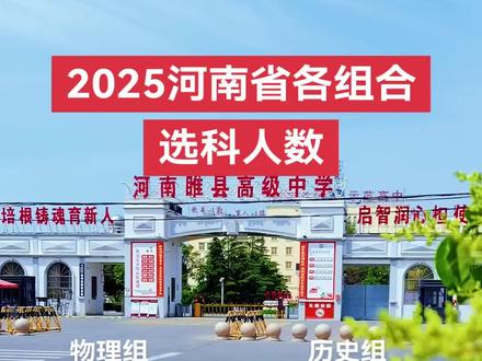 2025河南各组合选科人数#选科#物化生#物化政#历政地