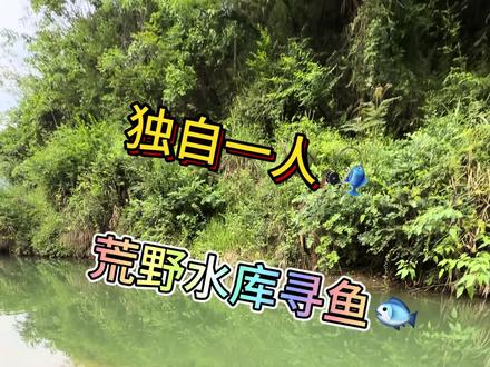 藏在深山里的鱼窝被窝发现了 #野钓 #野钓鲫鱼