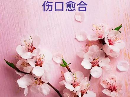 术后病人吃黑鱼能促进伤口愈合#生活 #生活小妙招 #涨知识 #好物推荐