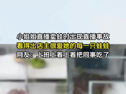 小姐姐直播卖蛙时出现直播事故,看得出店主很爱她的每一只蛙蛙。网友:上班上着上着把同事吃了(来源:@芊芊家的蟹蟹 )