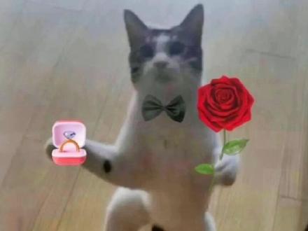 #情感 为什么说肉体碰撞的太早,灵魂就很难产生共鸣了#情侣 #话题文案 #今日话题