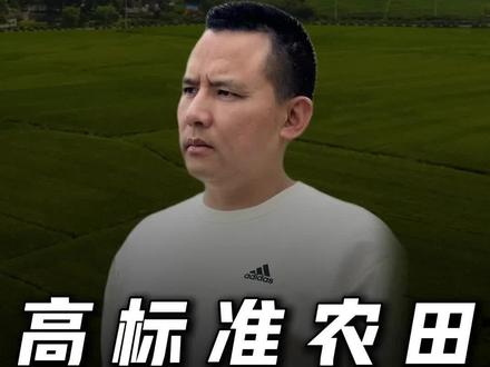 高标准农田为何频繁撂荒#高标准农田建设 #规模化农业