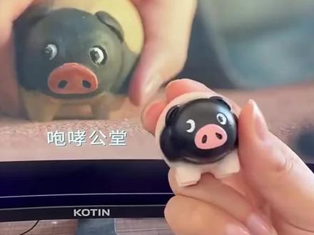 啰啰啰…逐玉小猪来咯~#逐玉 #张凌赫 #逐玉小猪 #田曦薇 #手办