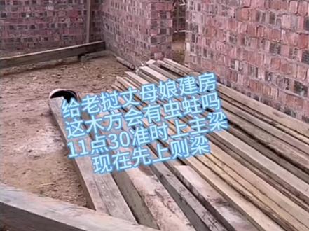 给老挝丈母娘建房: 这木方会有虫蛀吗?11点30分准时上主梁,现在先上则梁#农村自建房 #施工现场实拍 #小陈的老挝媳妇儿 #老挝媳妇